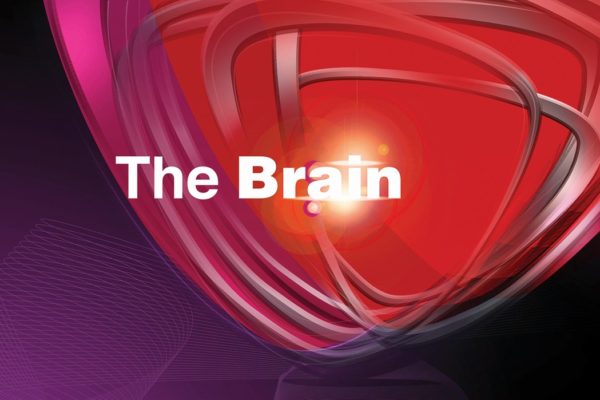 Logo programu "The Brain"